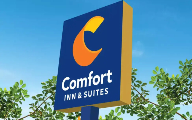 Twin Suite