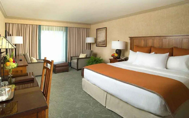 Premium Double room