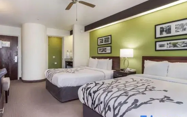 Quadruple Suite