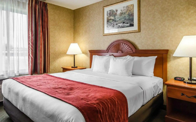 1 Bedroom Suite