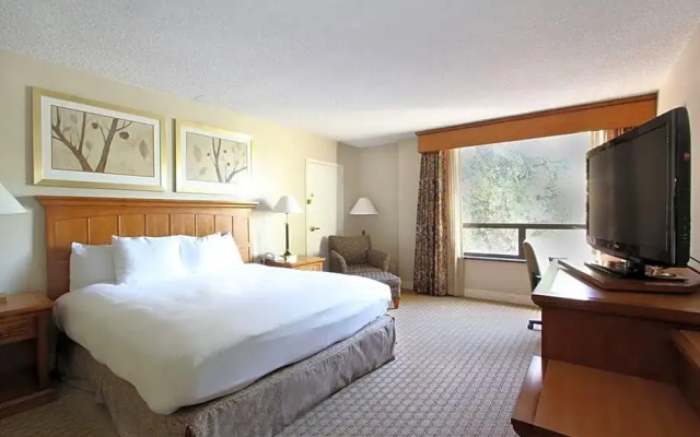 Deluxe room with mountain view