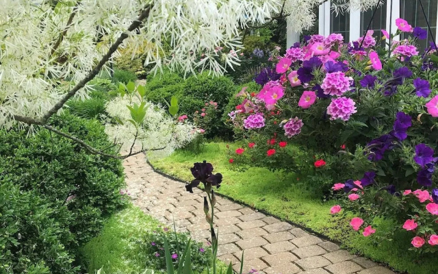 Standard Quadruple room with garden view