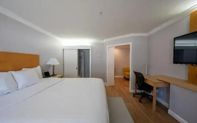 1 Bedroom Junior Suite