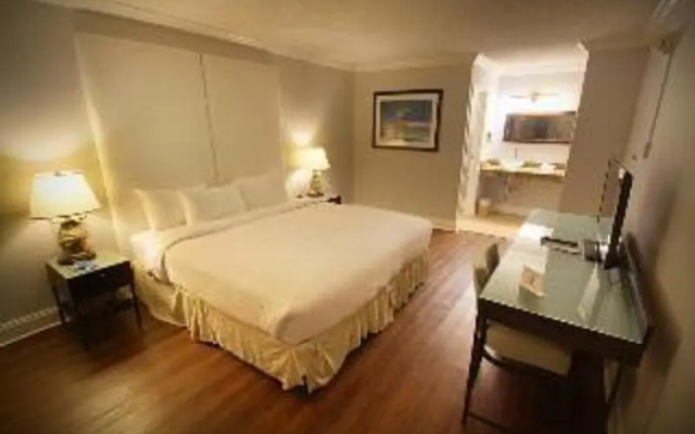 Double Suite with balcony and with city view