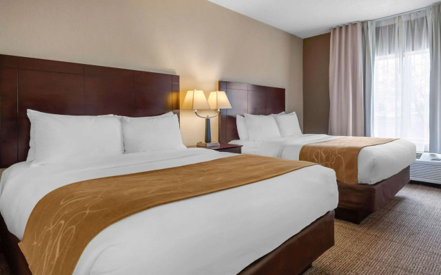 Quadruple Suite