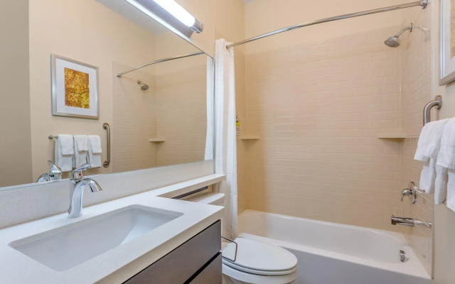1 Bedroom Suite