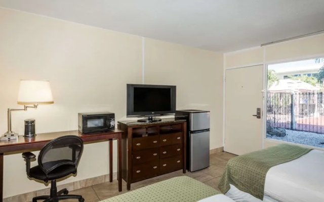 Standard Double room with pool view