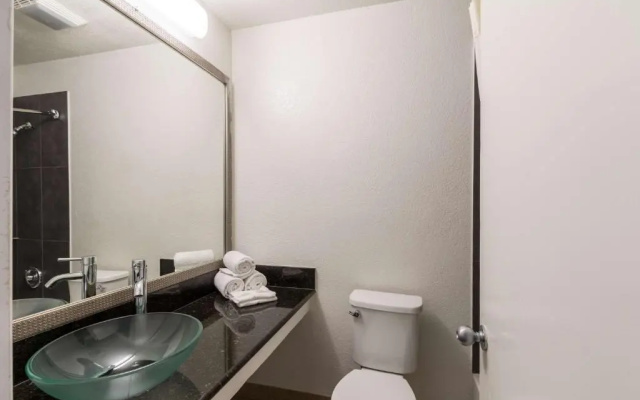 Standard Suite