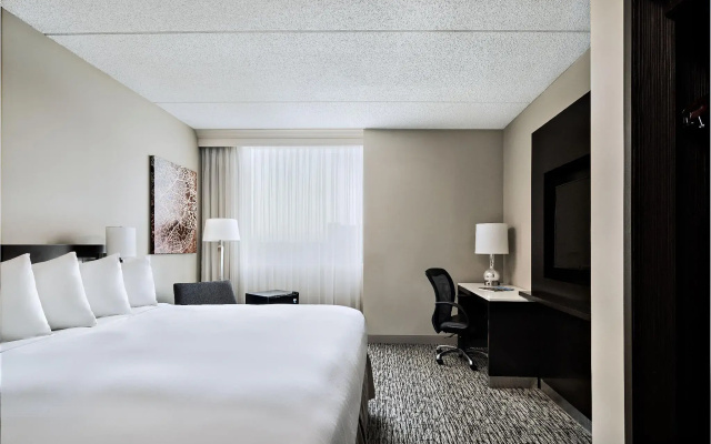 2 Bedrooms Double Suite