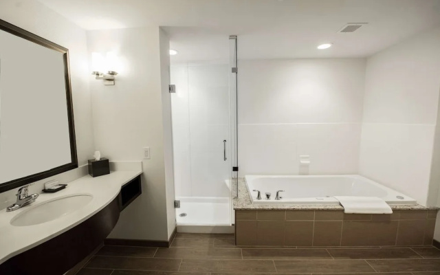 1 Bedroom Suite
