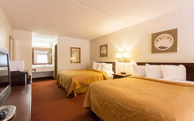 Standard room with view