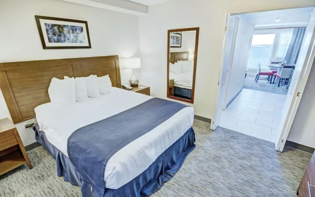Standard Suite
