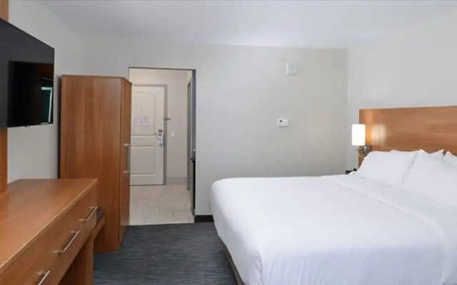 1 Bedroom Suite