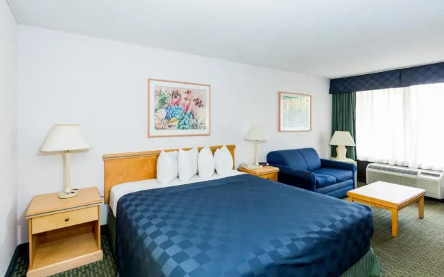 Standard Double room with lake view