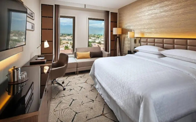 Premium Suite