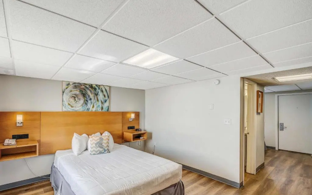 Deluxe Double Suite with bay view