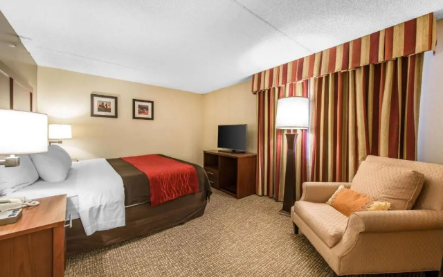 1 Bedroom Double Suite
