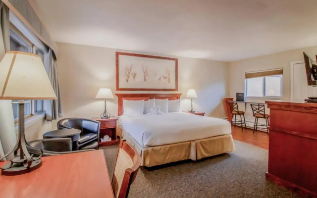 Standard room with river view