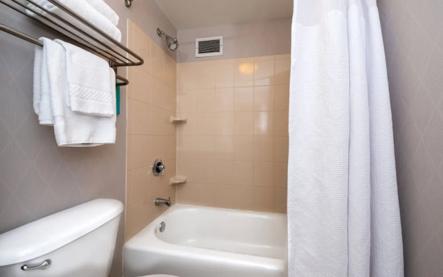 1 Bedroom Executive Suite