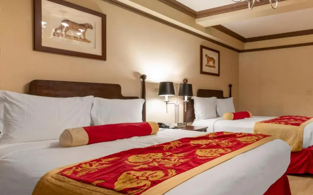 Deluxe room