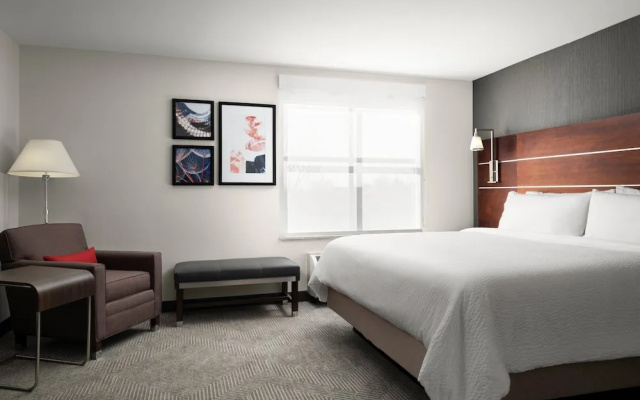 1 Bedroom Suite
