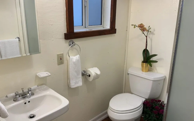 Standard Double room with pool view