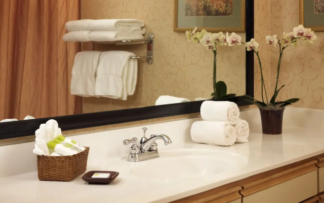1 Bedroom Premium Suite with balcony