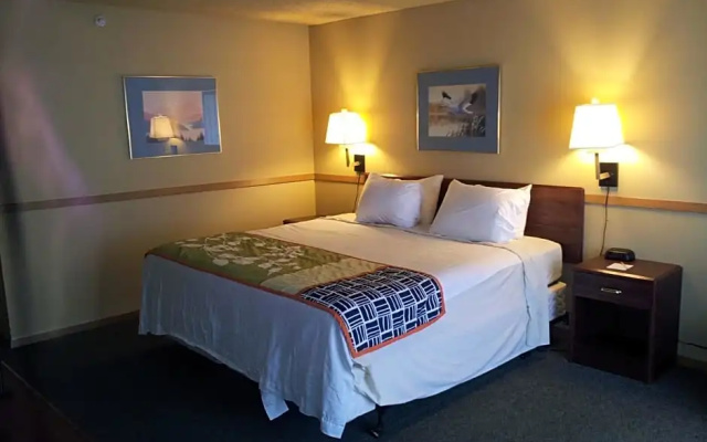1 Bedroom Deluxe Double Suite