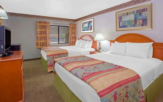 1 Bedroom Quadruple Suite