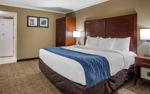 1 Bedroom Standard room