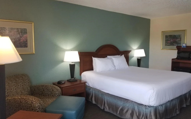 Standard Double room with view