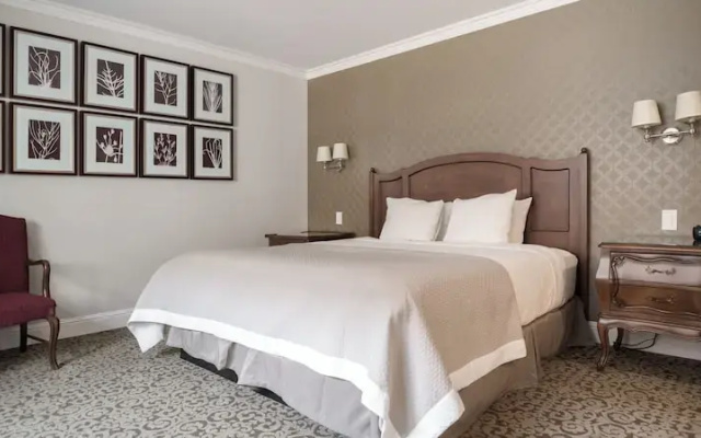 Deluxe Double room with courtyard view