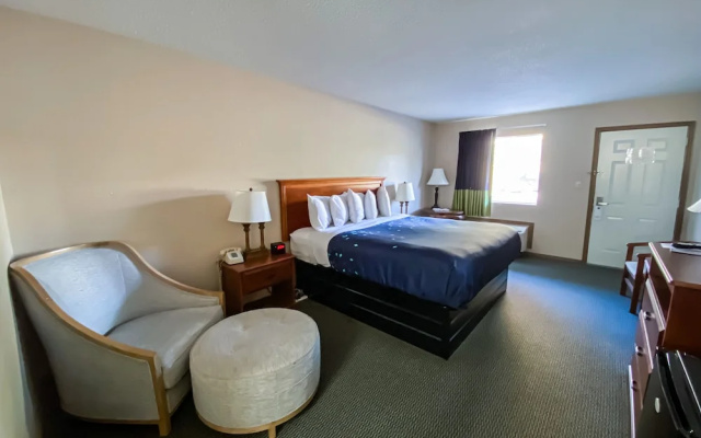 Premium Double Basement room