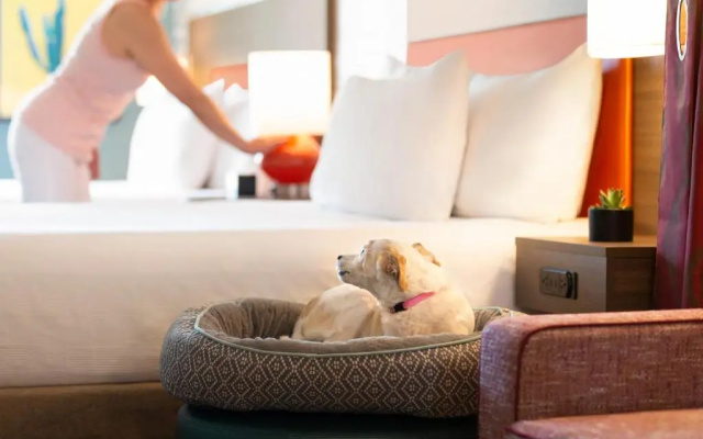 Premium Double Suite