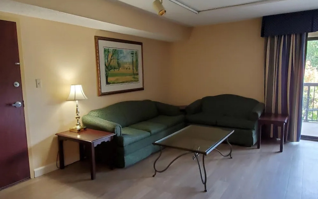 1 Bedroom Suite