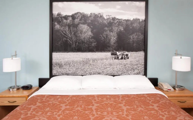 Standard room