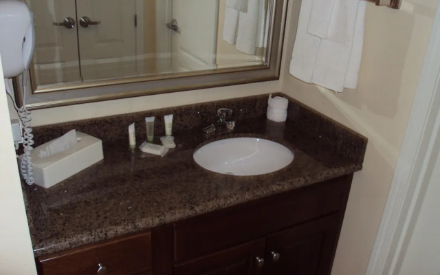 1 Bedroom Suite