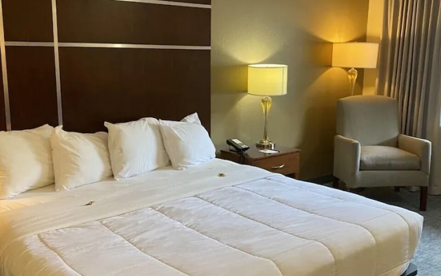 Premier room