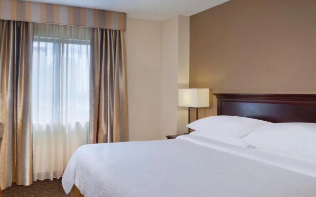 1 Bedroom Double Suite