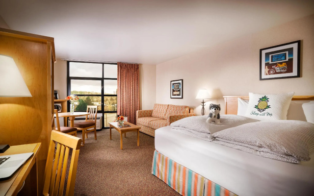 Premier Double room