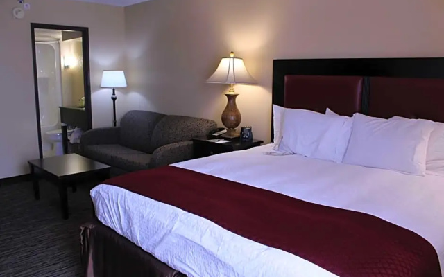 1 Bedroom Suite