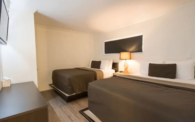 Comfort Suite
