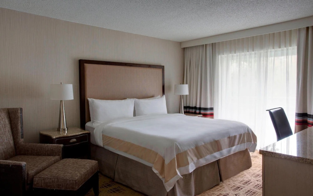 1 Bedroom Suite with balcony