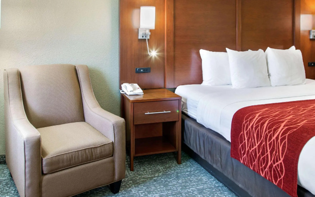 1 Bedroom Suite