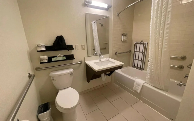 1 Bedroom Suite