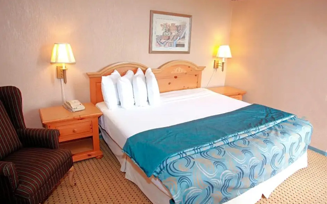Standard Suite