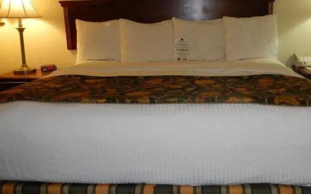 1 Bedroom Double Suite