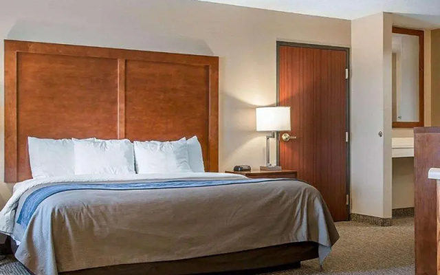 1 Bedroom Double Suite