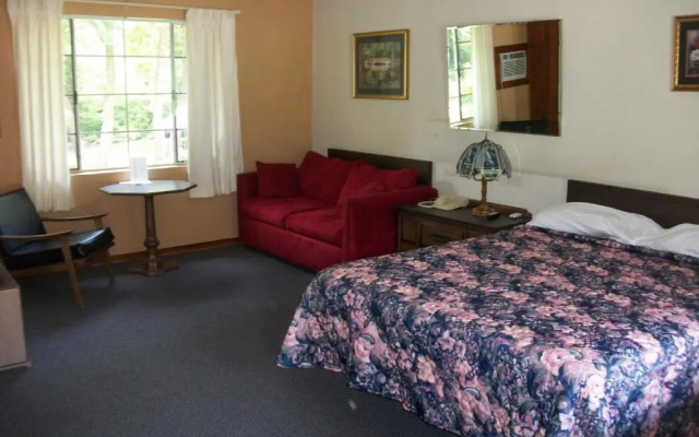 Standard room with river view