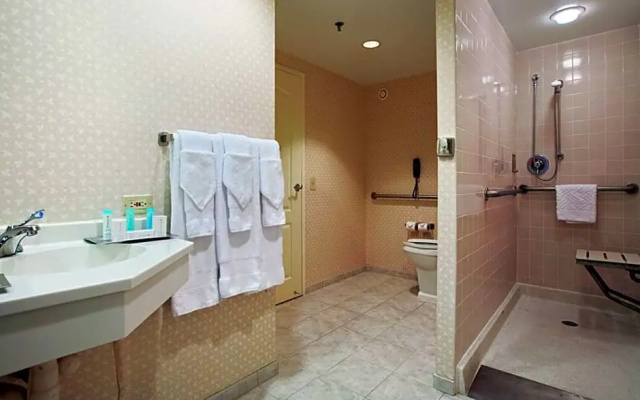 Standard Suite